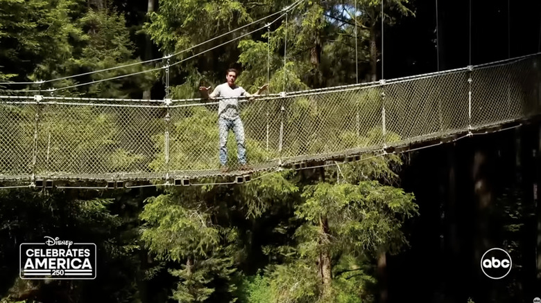 David Muir reporting from a skywalk at the Redwood National and State Parks