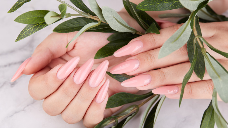 Pink nails and mint leaves