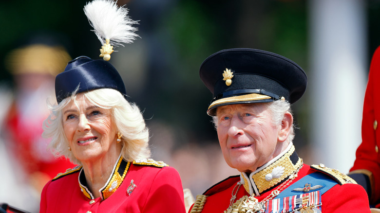 Queen Camilla sitting in a carriage with King Charles III in their full regalia