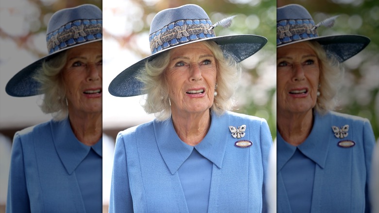 Queen Camilla mid-speech in a blue outfit with a big hat