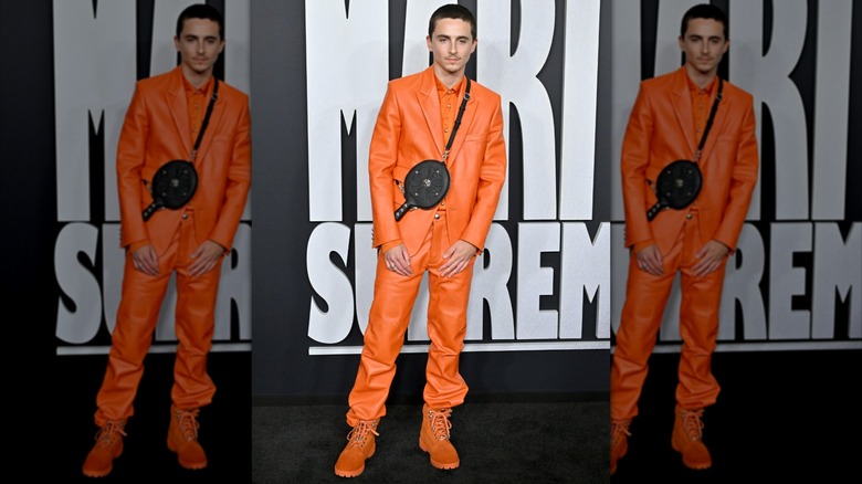 Timothée Chalamet  posing