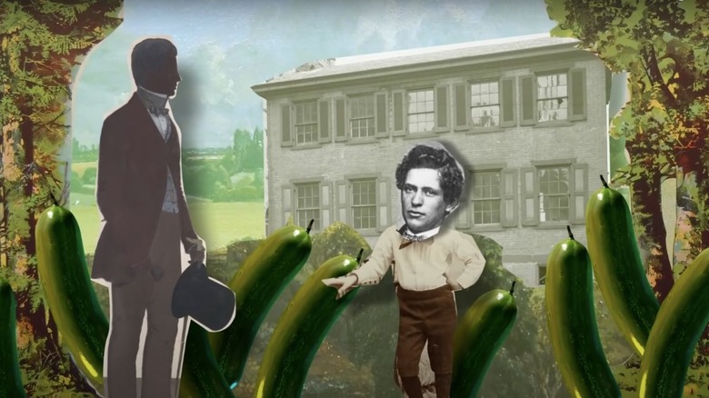 Suburban Homestead video still