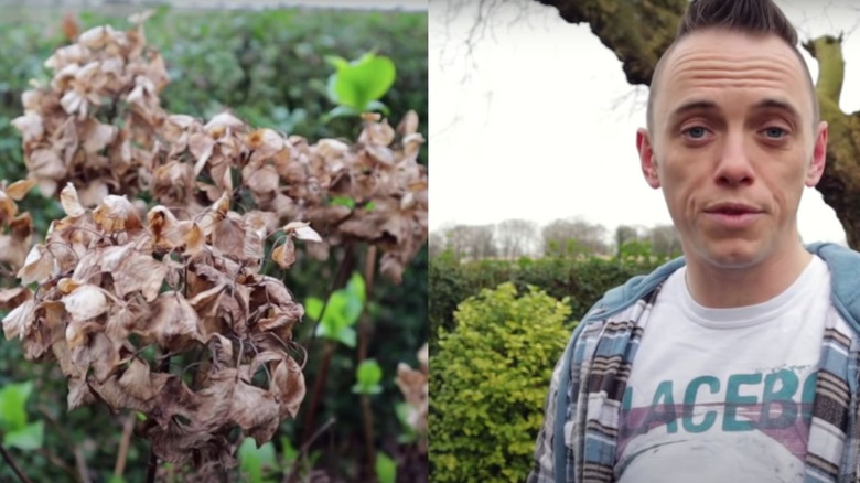 Garden Ninja video still