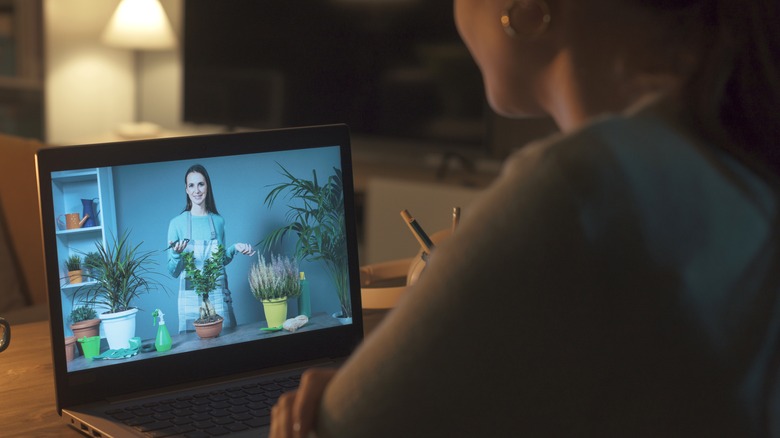 Woman watching YouTube gardening video