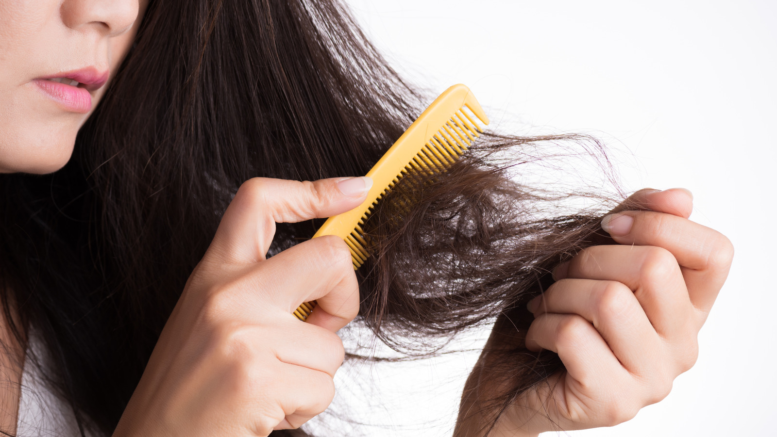 There Are 8 Types Of Hair Damage: Here's What You Need To Know