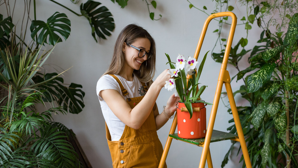 Woman tending to plants