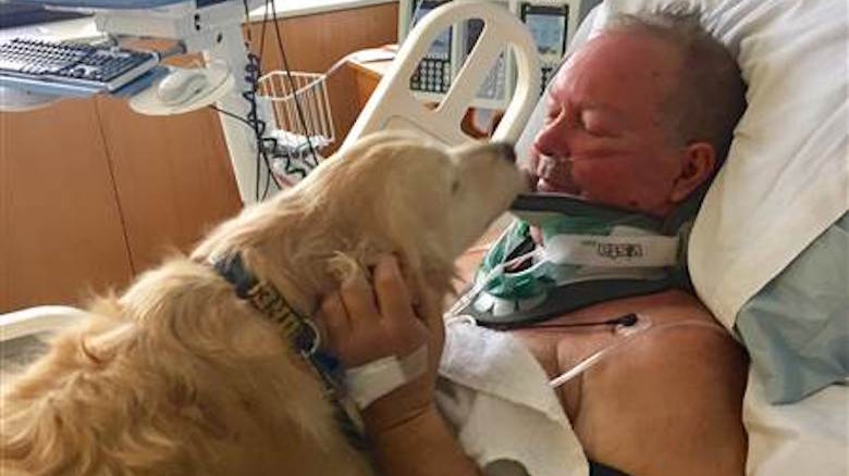 Kelsey the golden retriever saves owner