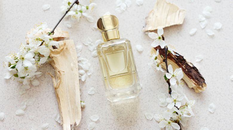 Overview of perfume