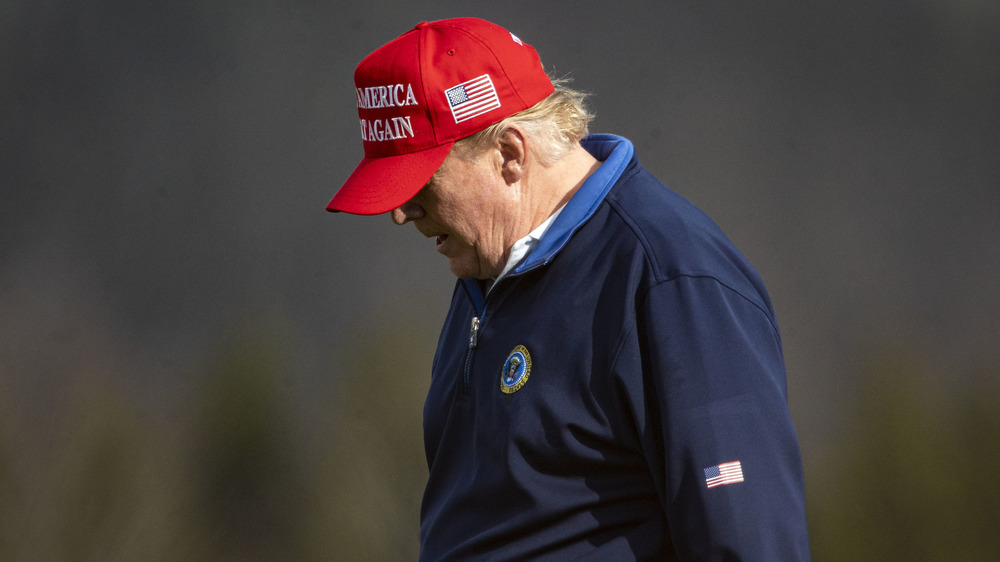 Donald Trump in MAGA hat