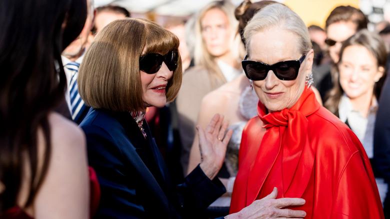 Anna Wintour and Meryl Streep chatting in a crowd