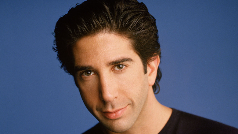 David Schwimmer as Ross Geller 