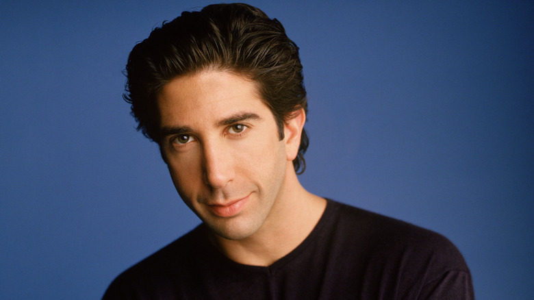 David Schwimmer as Ross Geller