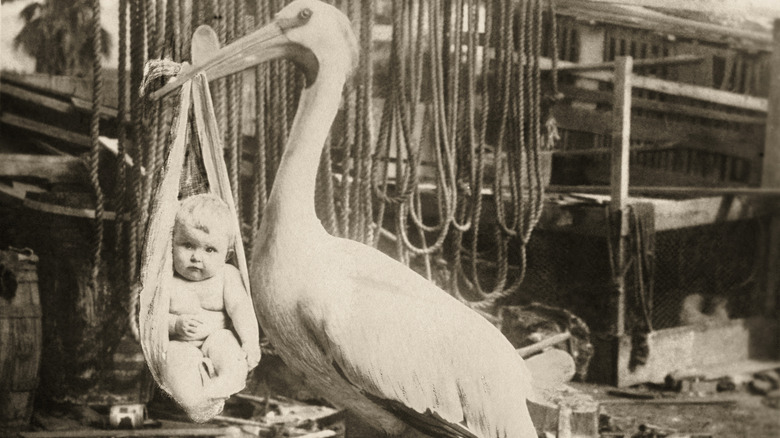 childbirth stork