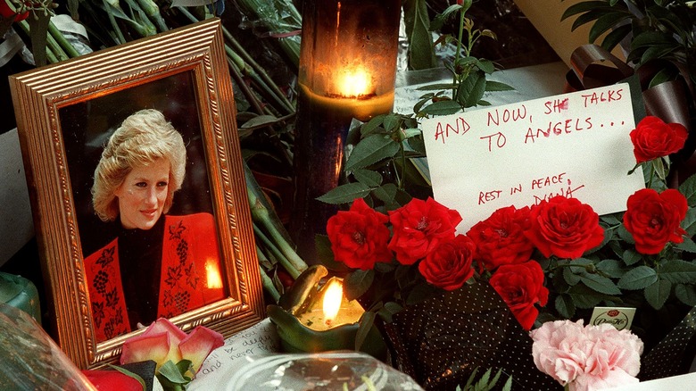 Princess Diana's last words