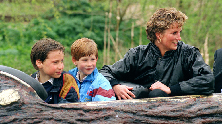 Princess Diana at Thorpe Park with William and Harry