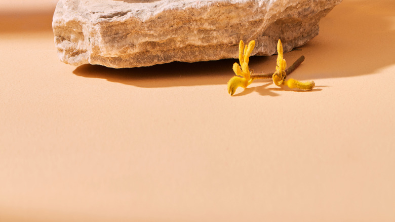 A bottle of perfume and an orange