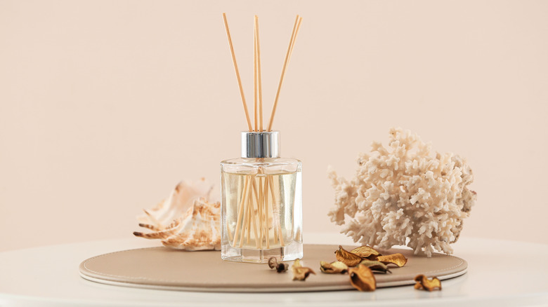 Reed diffuser near seashell and potpourri