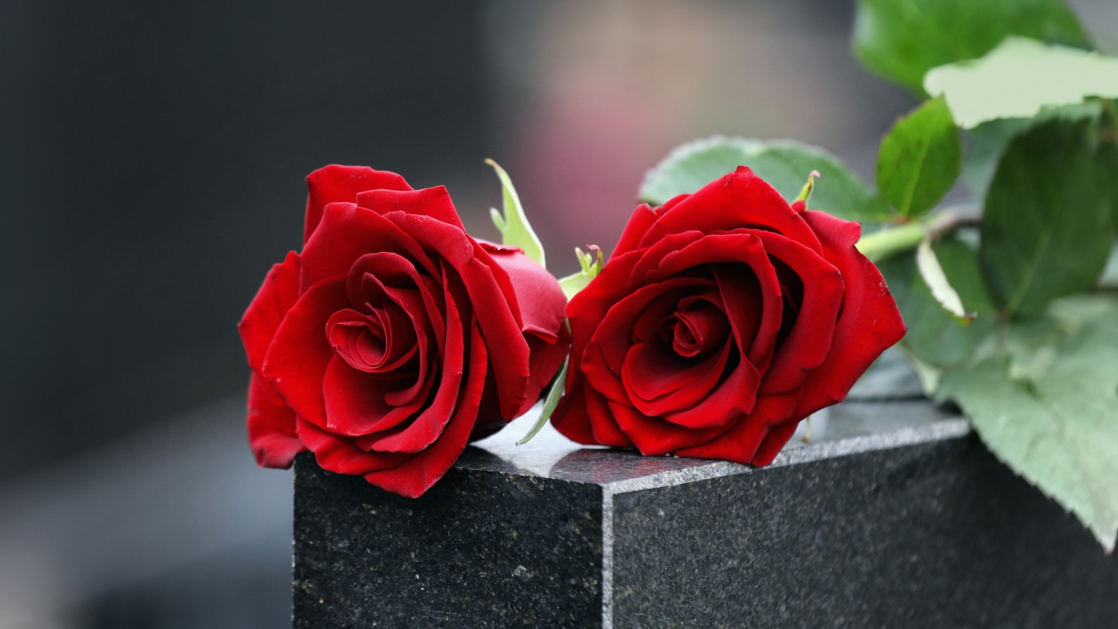 This Is How Long The Rose Ceremonies On The Bachelor Take