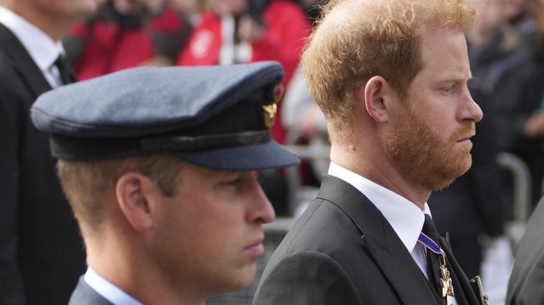 Prince William Prince Harry heads sideways