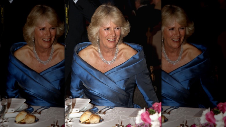 Camilla in a blue dress 