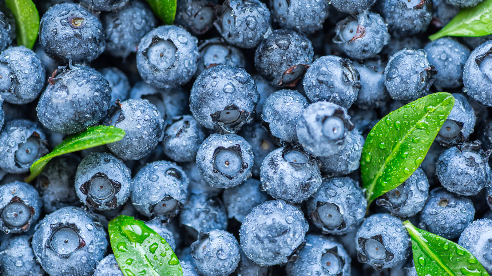 This Is What Happens When You Eat Blueberries Every Day