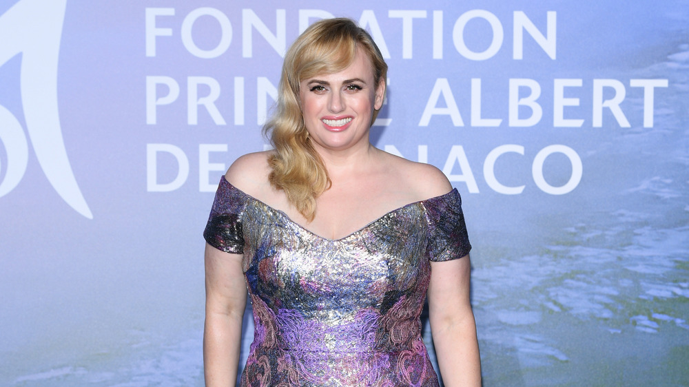 Rebel Wilson on the red carpet at a gala