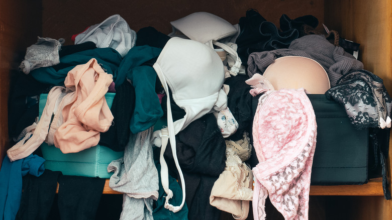 Shelf filled with old bras