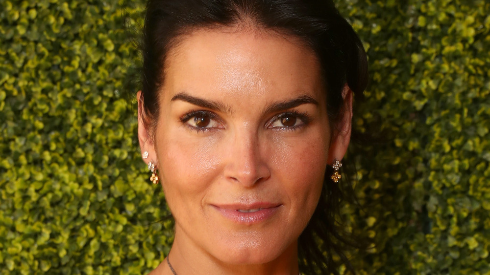 Angie Harmon close-up