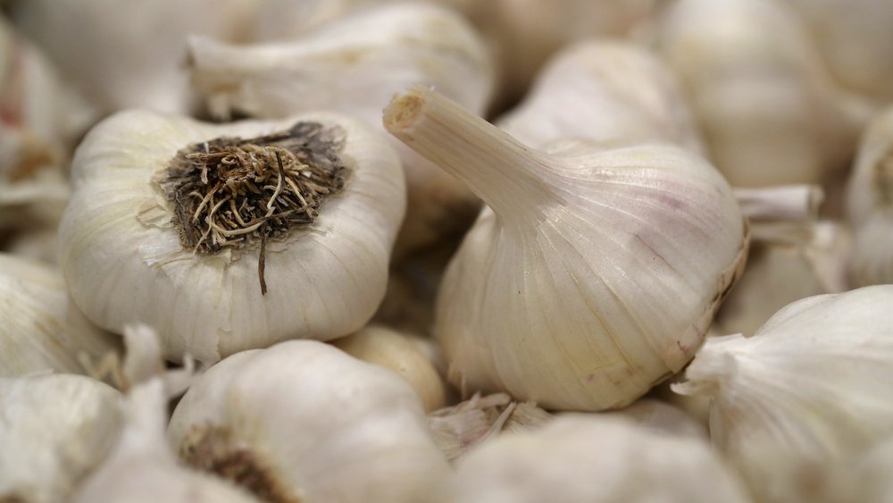 Heads of garlic