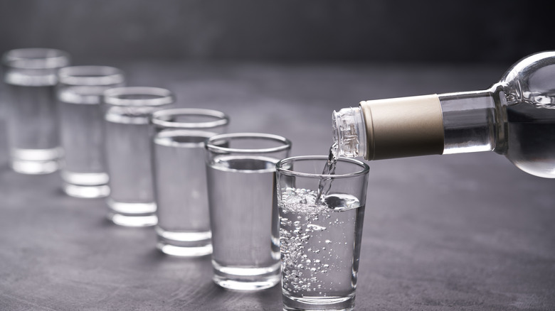 vodka being poured into shot glasses