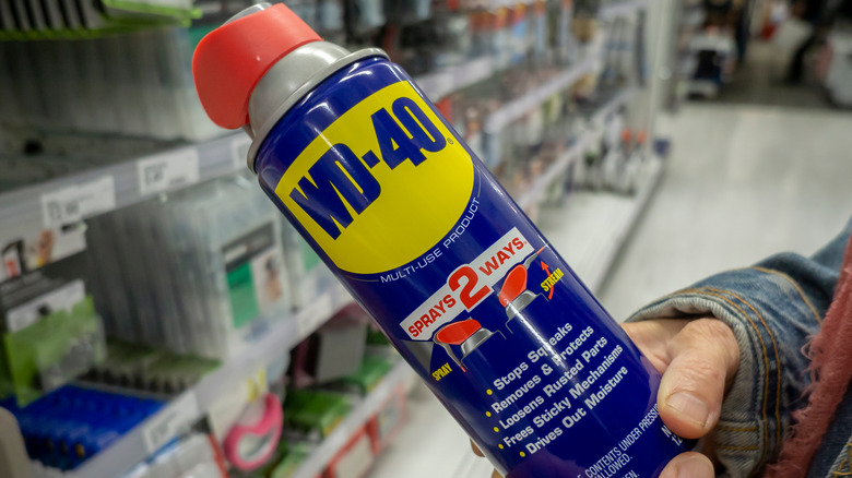 Person holding can of WD-40