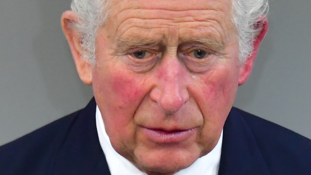 Prince Charles speaking at an event