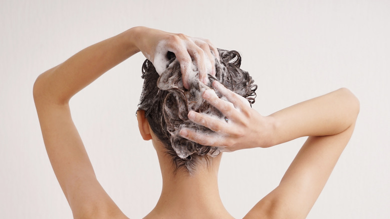 Young woman washing her hair against a white background