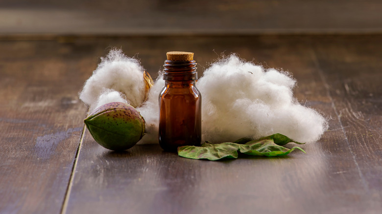 Cotton and oil sitting on a wooden floor. 