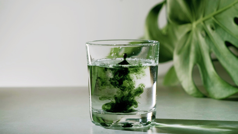 Chlorophyll Water