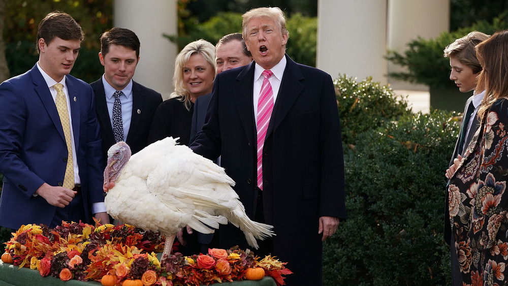 Donald Trump pardoning the turkey at the White House
