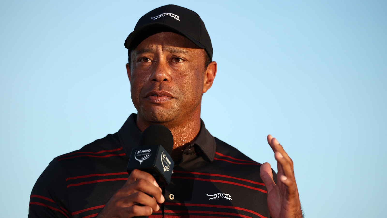 Tiger Woods' Reported Reason For Not Hiring A Driver After DUI Scandal Is Eye Roll-Inducing