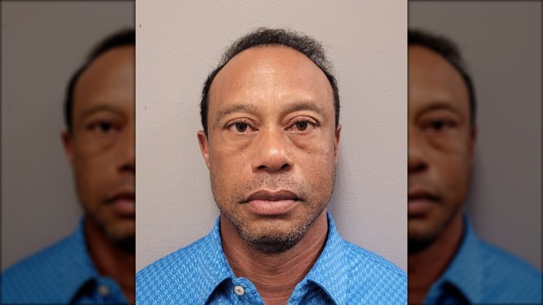 Tiger Woods mugshot
