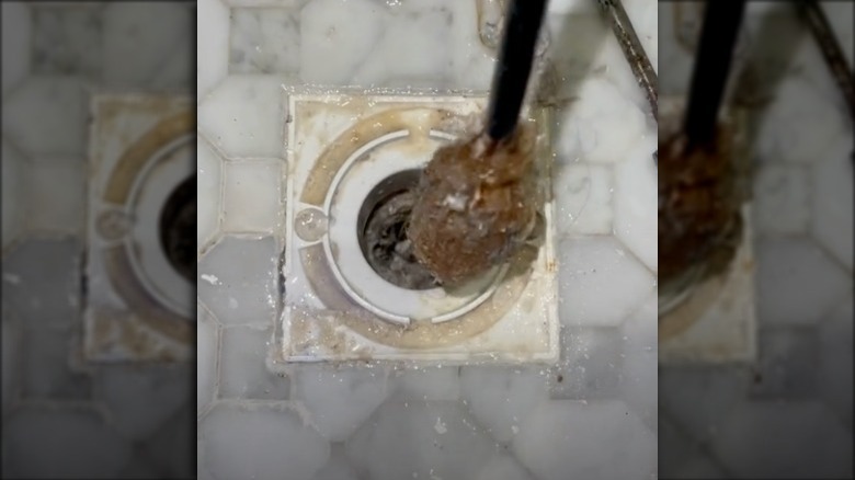 TikTok user pulling large hair clog out of a shower drain.