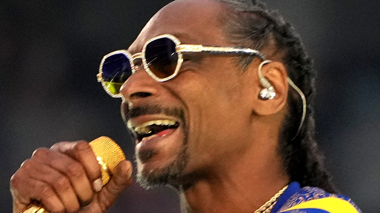 Snoop Dogg performs during the Super Bowl halftime show