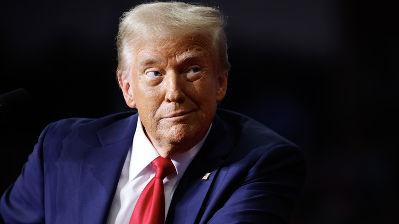 Donald Trump sporting a mischievous grin