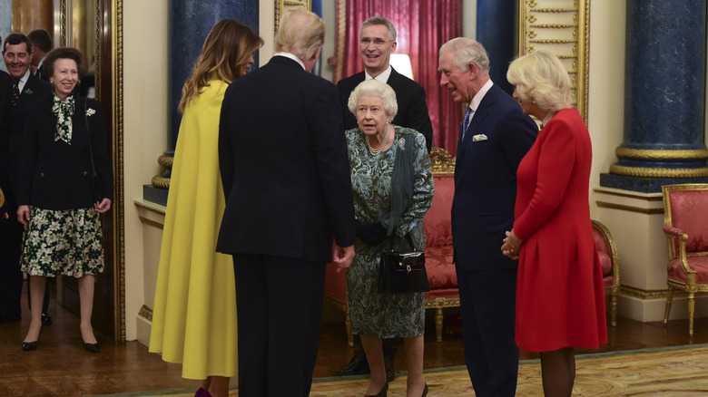 Princess Anne looking at the queen meeting Donald Trump
