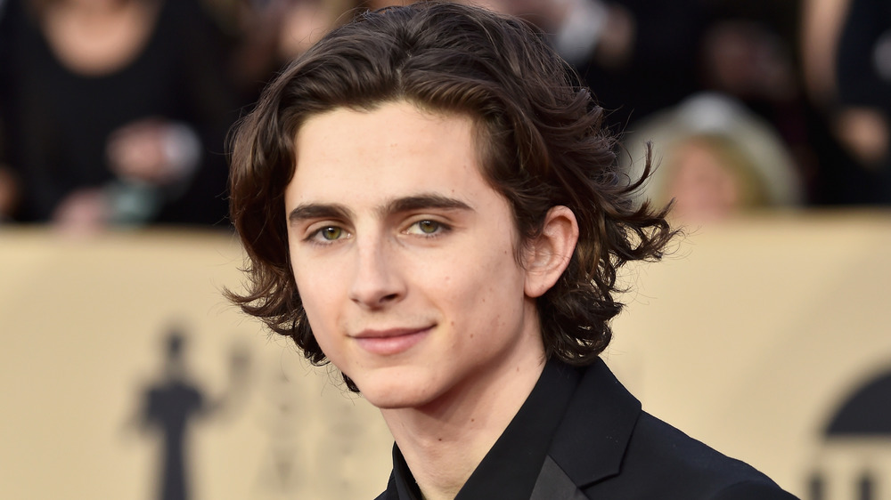 Timothee Chalamet smiling 