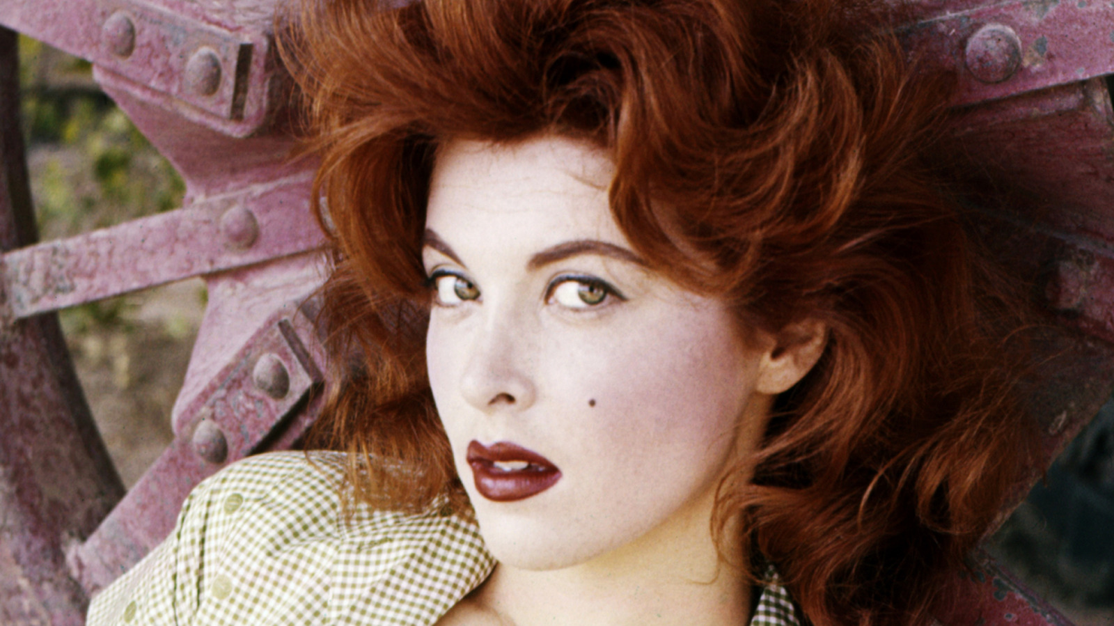 <a href="https://www.thelist.com/2287903/tina-louise-transformation-last-living-gilligans-island-star/" target="_blank">Tina Louise: The Transformation Of The Last Living Gilligan’s Island Star</a>