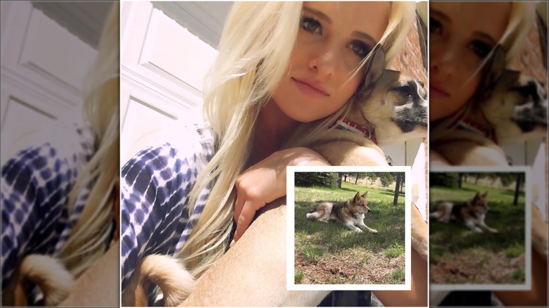 Tomi Lahren holding her dog Baxter
