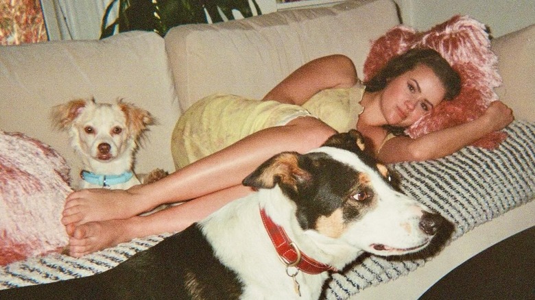 Ava Phillippe laying on a couch with her two dogs.