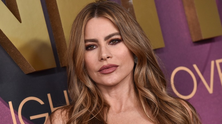 Sofia Vergara posing for photos