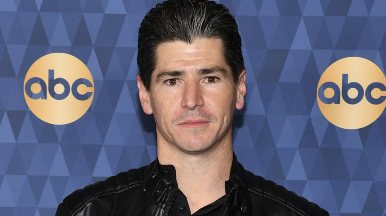 Michael Fishman attending the ABC Winter Press Tour