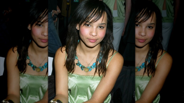 Zoe Kravitz as a teenager in the late 2000s