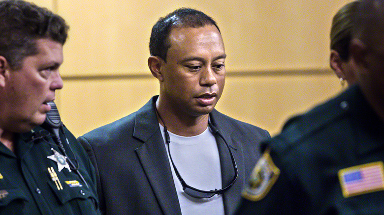 Tiger Woods pleading guilty in court next to police officers